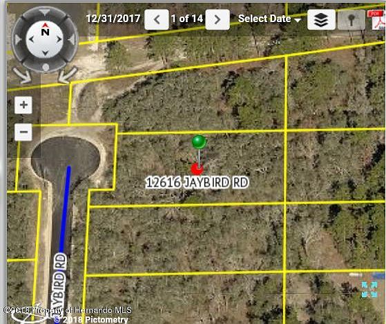 2nd image of 12616 Jaybird Rd