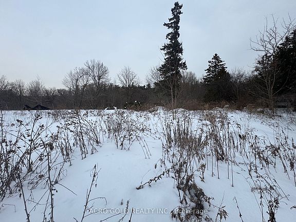 3rd image of 8519 Islington Ave