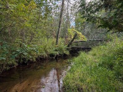 22313 Ten Mile Rd, Reed City, MI, 49677