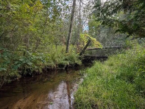 22313 Ten Mile Rd, Reed City, MI 49677