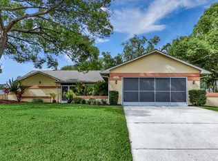 9184 Angora St, Spring Hill, FL 34608