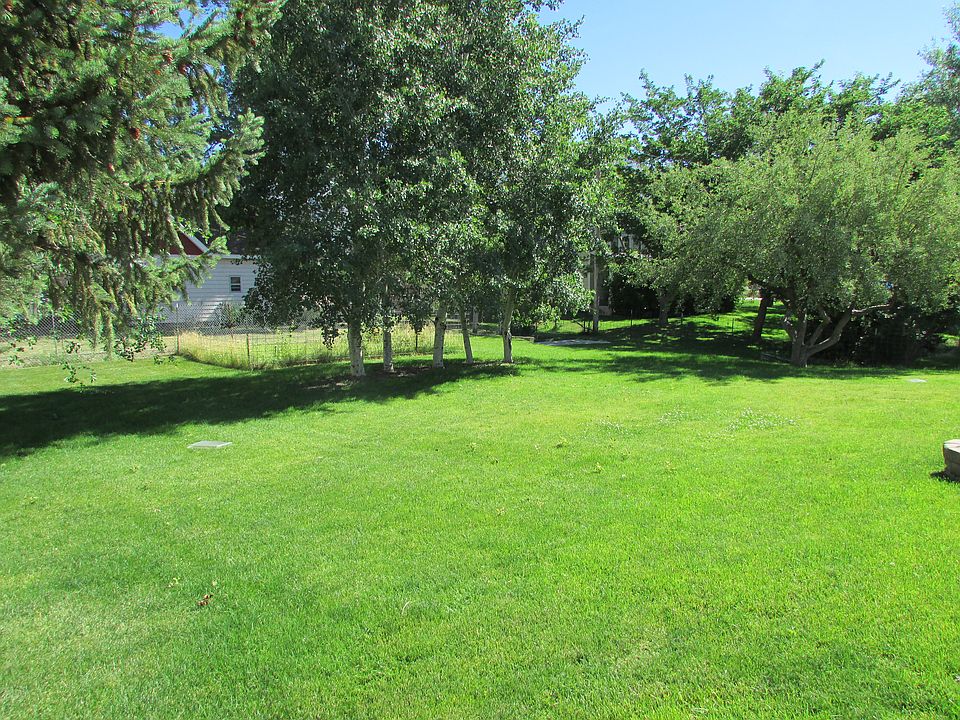 Backyard another angle