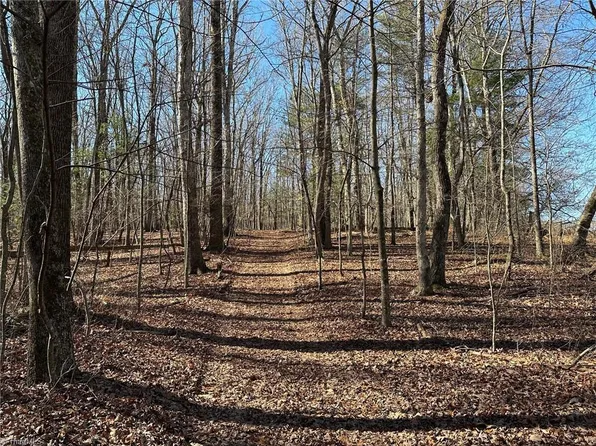 0 Mount Pleasant Church Rd, State Road, NC 28676