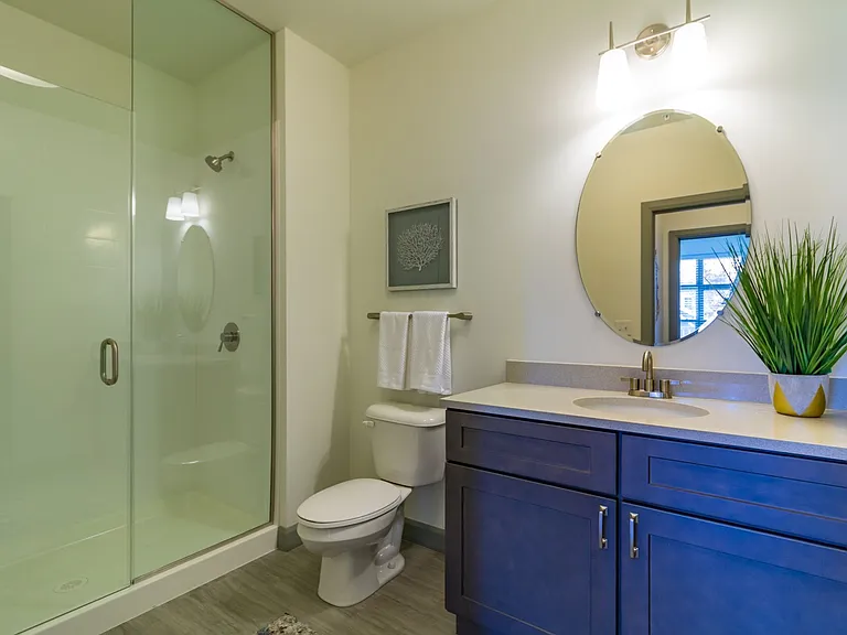 Bathroom with walk-in shower