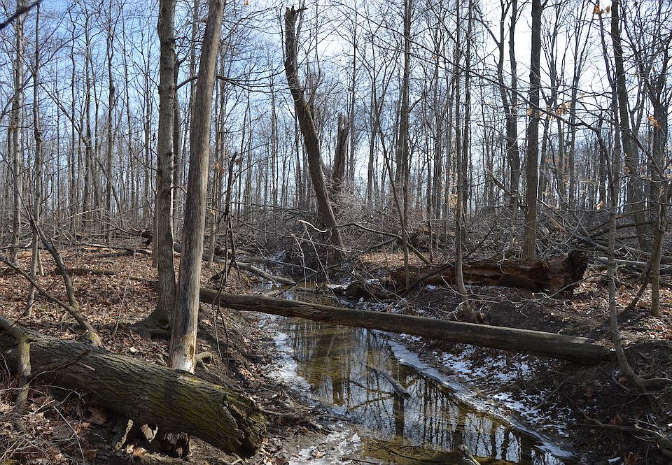 Creek at west edge