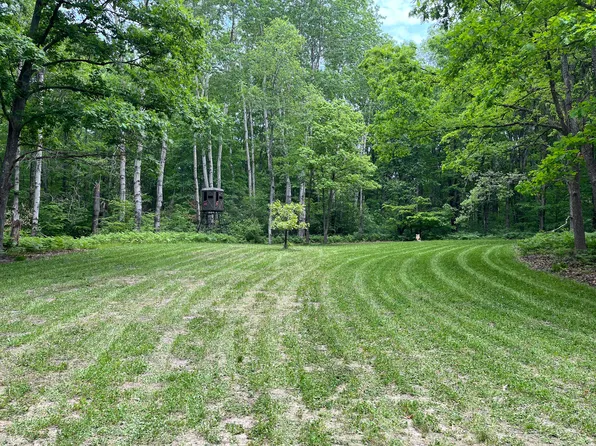 V/l Peach Ave, White Cloud, MI 49349