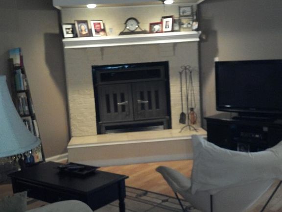 Wood burning stove insert