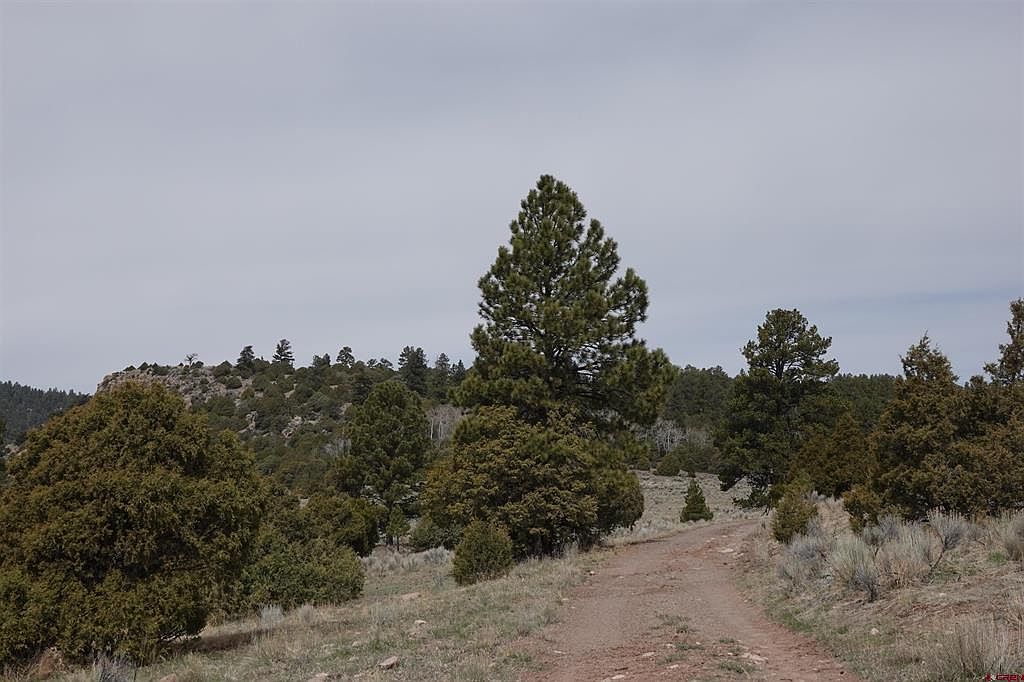Fox Creek Rd, Antonito, CO 81120 MLS 804066 Zillow