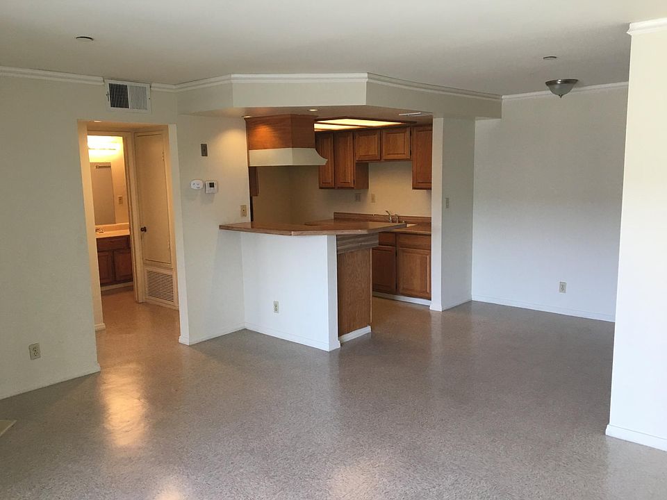Large living room and kitchen