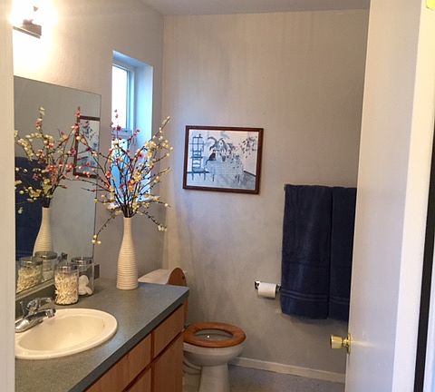 Downstairs bathroom, laundry