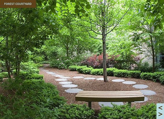Peaceful forested courtyard with picnic & grilling areas + footstone path
