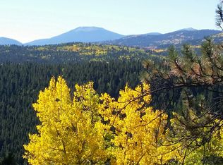 50 Pickle Pt, Black Hawk, CO 80422