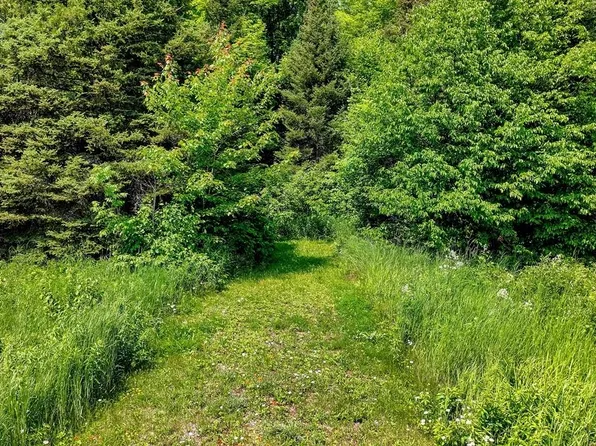 60 Acres Hwy #51, Hurley, WI 54534
