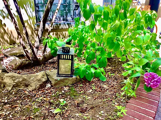 Rented by Corcoran | media 13