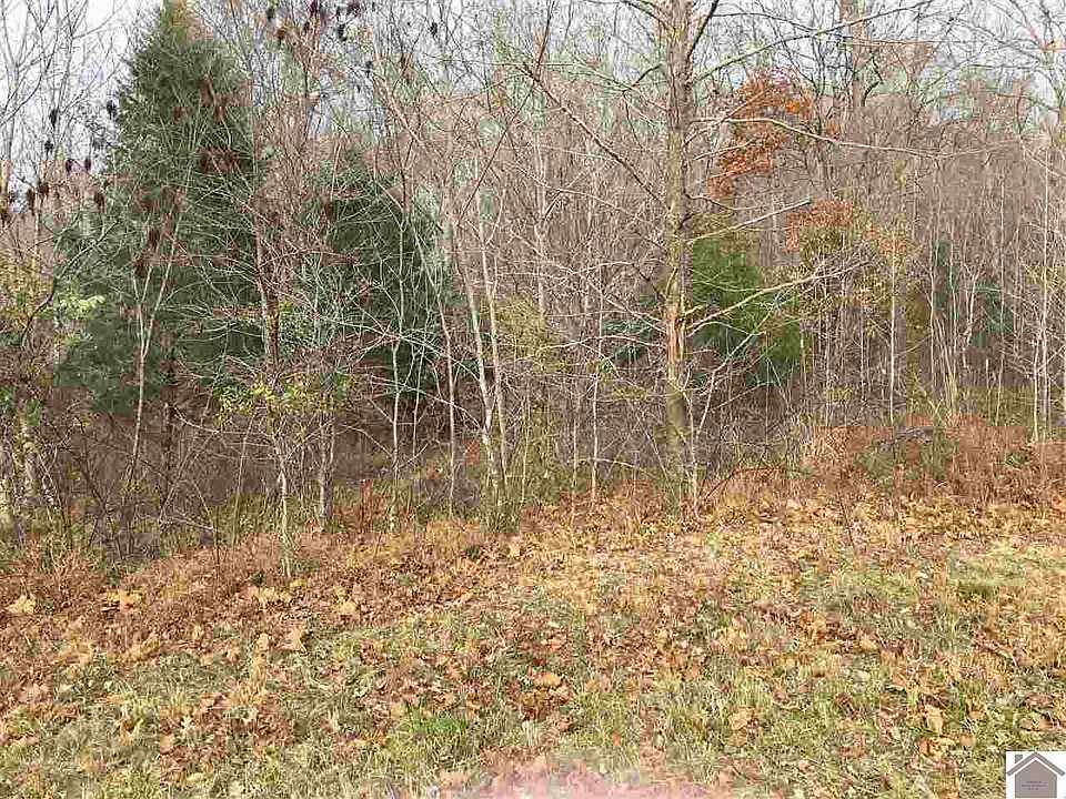 1st image of 0 Parkersville Rd Lot 4 & 5