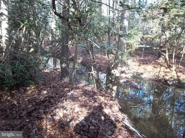 Meadowbrook Rd, Federalsburg, MD 21632