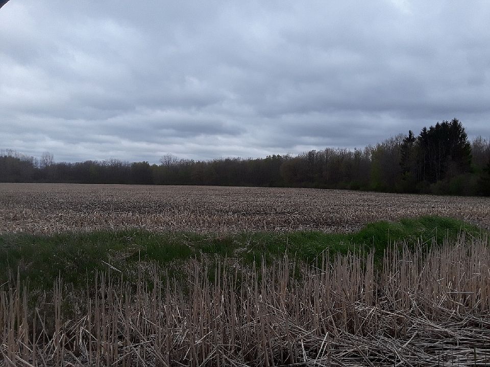 2nd image of E Letts Rd #2