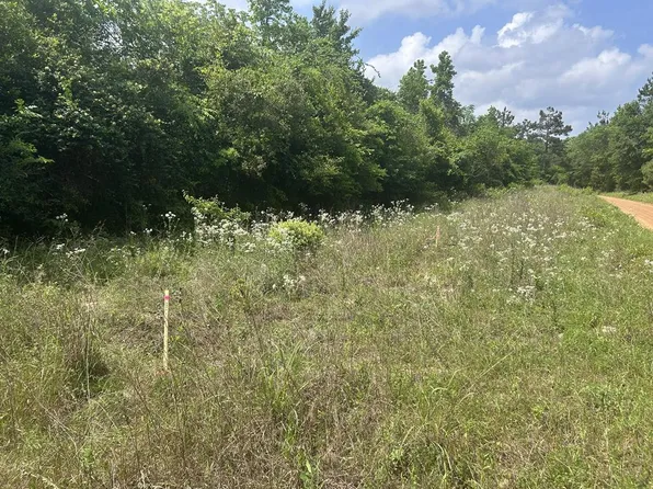 12 County Road 175, Garrison, TX 75946