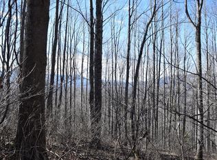 Highway 80, Bakersville, NC 28705