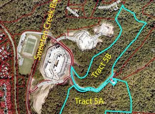 105 Woodland Meadows Dr Tract A & B, Asheville, NC 28803