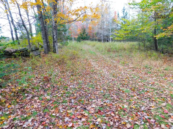 Lot #40-1 Map #1 Road, Ripley, ME 04930