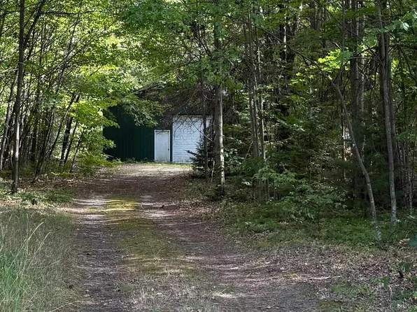 8843 Ora Lake Rd, Hale, MI 48739