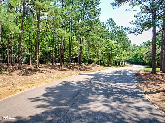 5th image of Annandale Golf Club Dr Lot 5C
