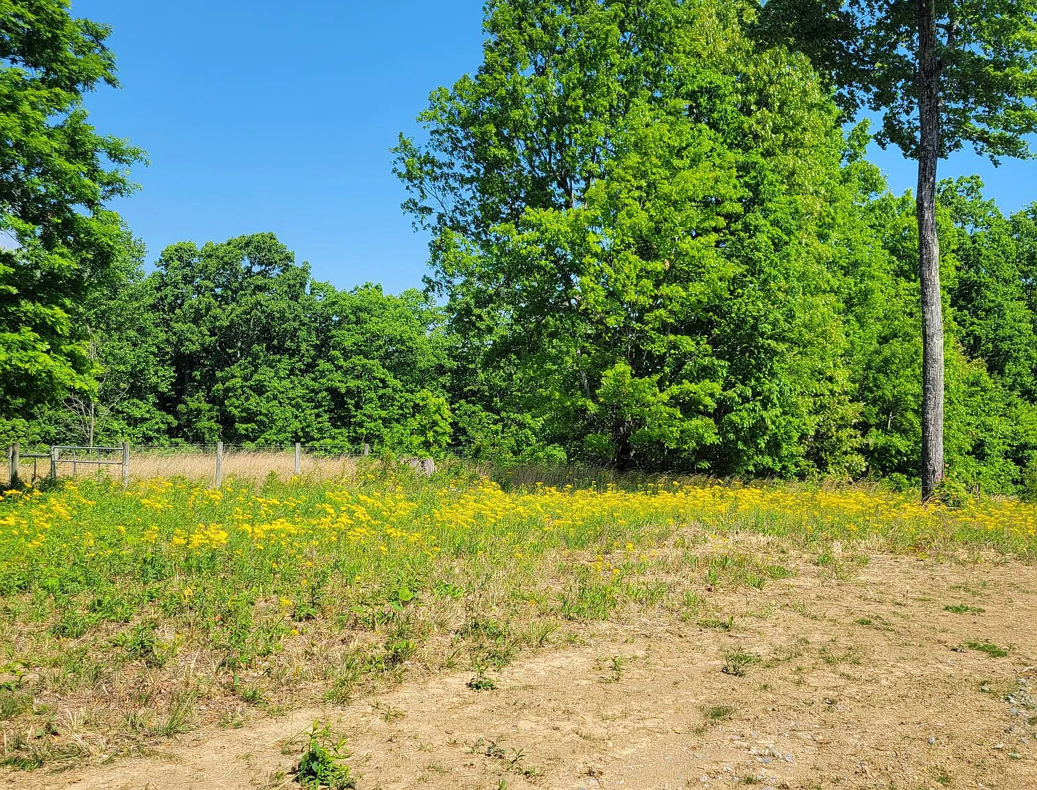 75 Everett Lane - . — Photo 4