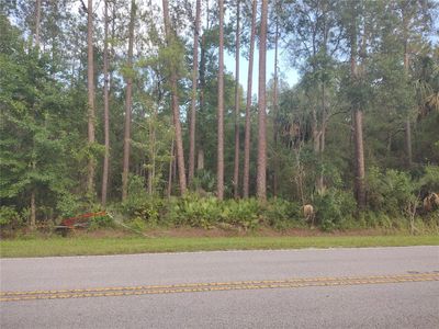 NE HWY 314 HIGHWAY NE, Silver Springs, FL, 34488