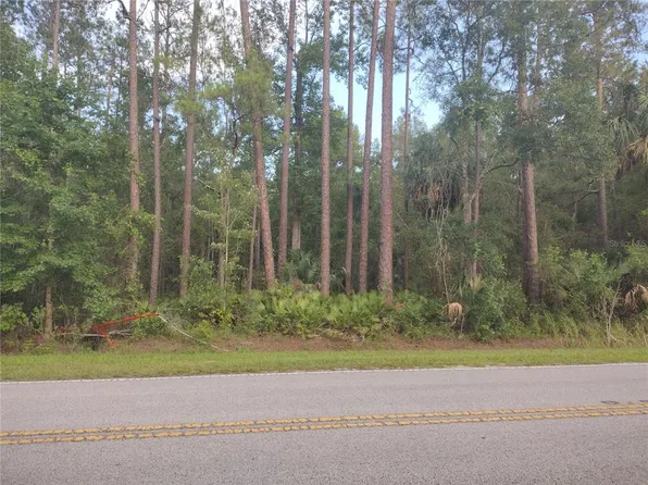 NE HWY 314 HIGHWAY NE, SILVER SPRINGS, FL 34488