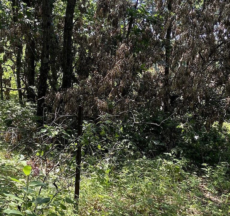 000 Dyke Ave LOT 0, Grand Marsh, WI 53936 Zillow