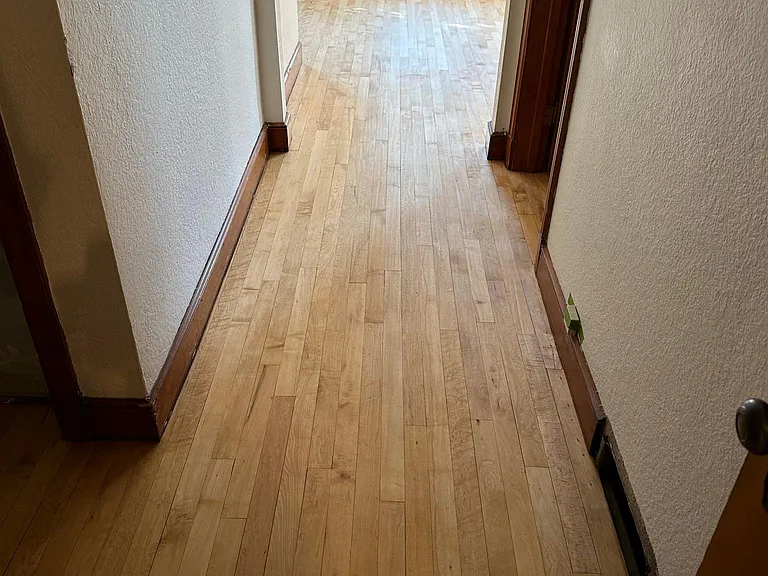 803 Young St #3 — Photo 7