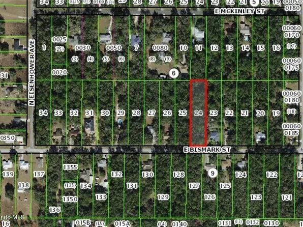 1191 E Bismark St, Hernando, FL 34442