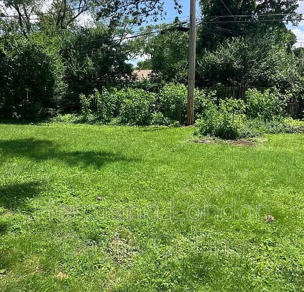 11276 Liana Ln #11276 LIANA LANE — Photo 4