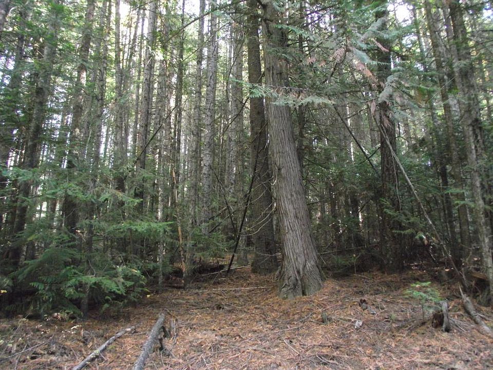 1st image of Nka N Fork Santa Creek