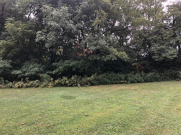 3rd image of 2424 Lincoln Ave