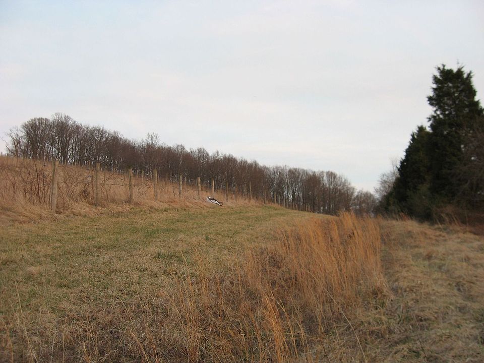 side view of 10 acres