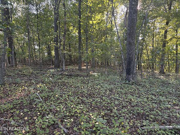 5th image of 134 County Road 212