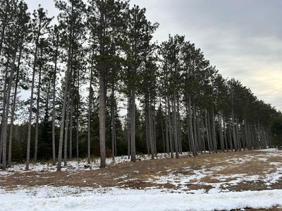 Cattle Dr, Park Rapids, MN, 56470