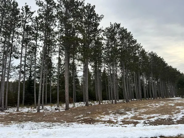 Cattle Dr, Park Rapids, MN 56470
