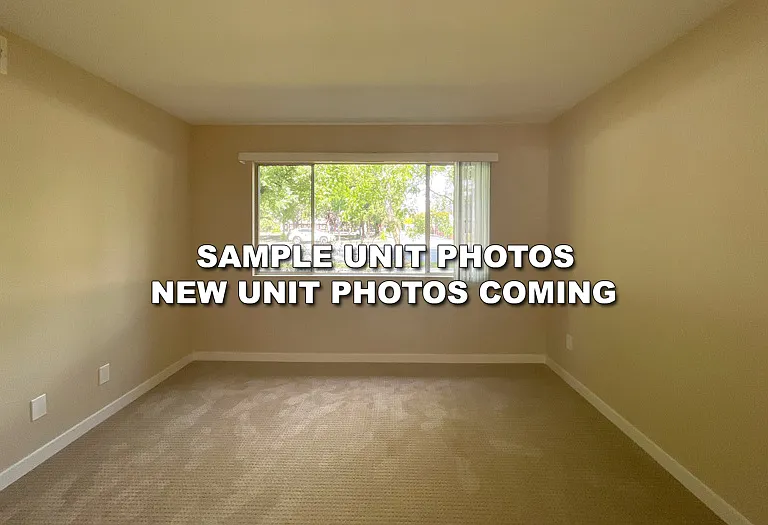 696 Towle Way — Photo 8