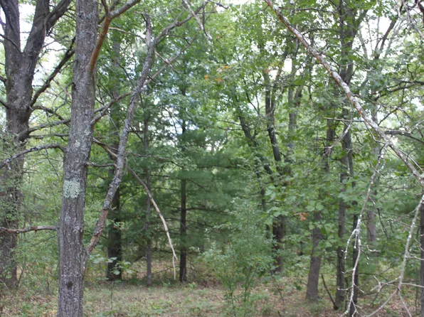 PARCEL Airport Rd #F, Wellston, MI 49689