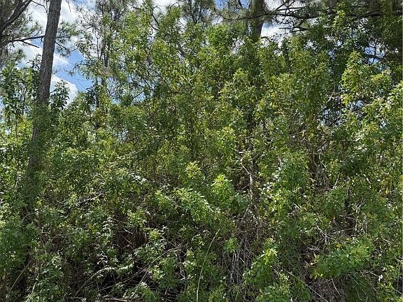 4th image of 0 Unassigned Rd