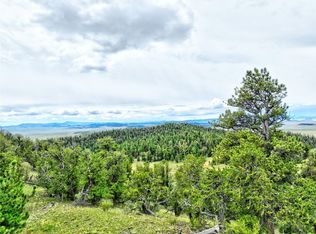 861 Summit Rd, Hartsel, CO 80449