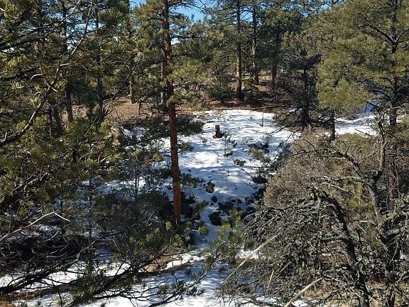 3rd image of 99 Dead Log Ln