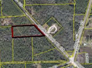 11428 Clarence Bennett Road, Sanderson, FL 32087