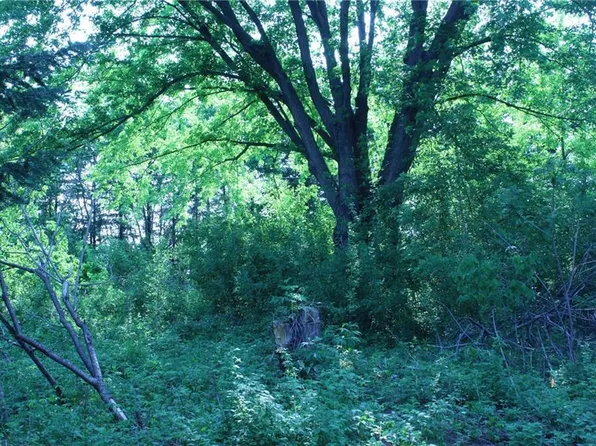 Lot 10 164th Street, Chippewa Falls, WI 54729