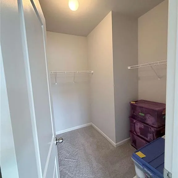 4411 Rockrose Green Way — Photo 16
