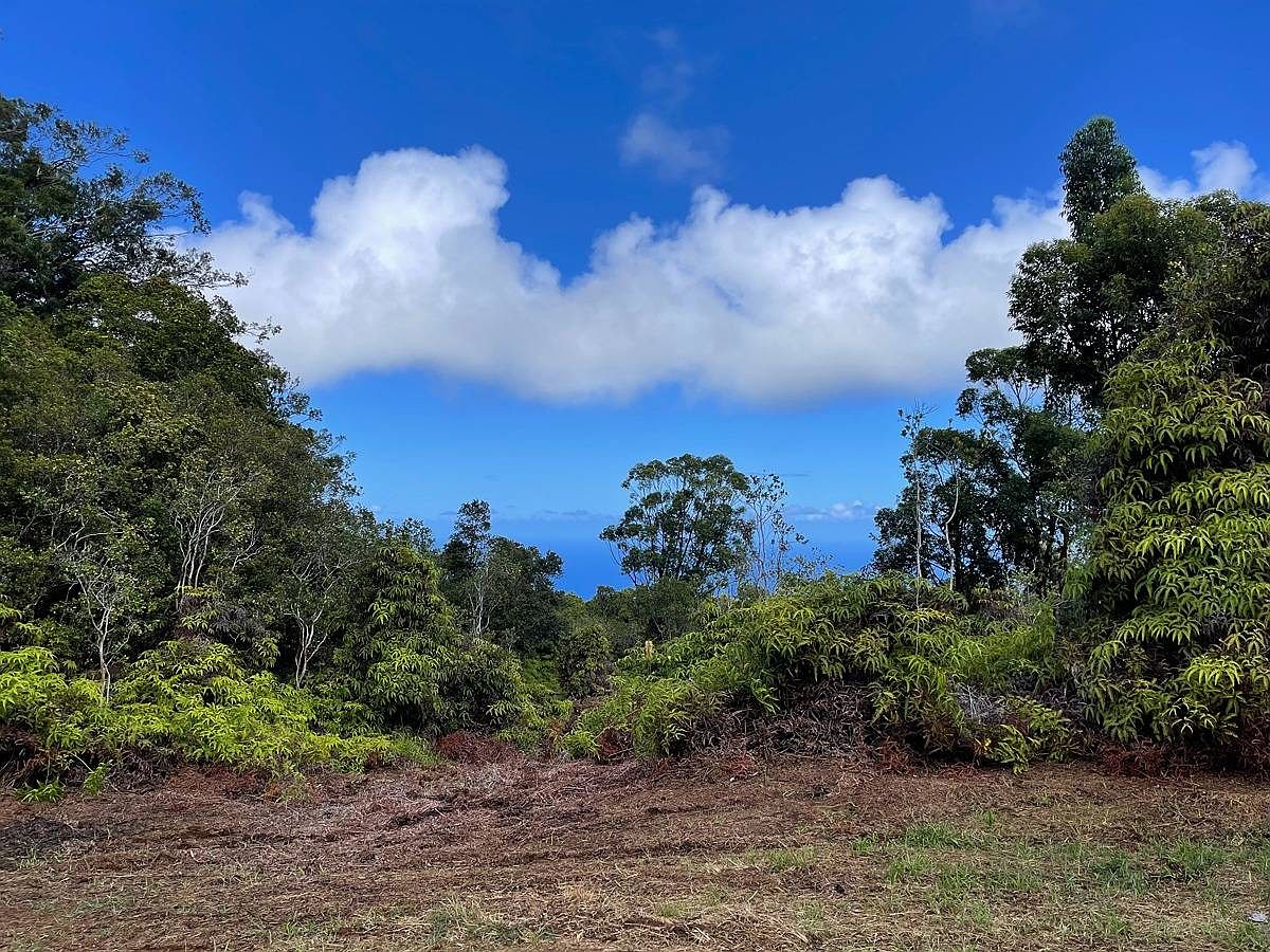 30 Homestead Rd, Laupahoehoe, HI 96764 MLS 703735 Zillow