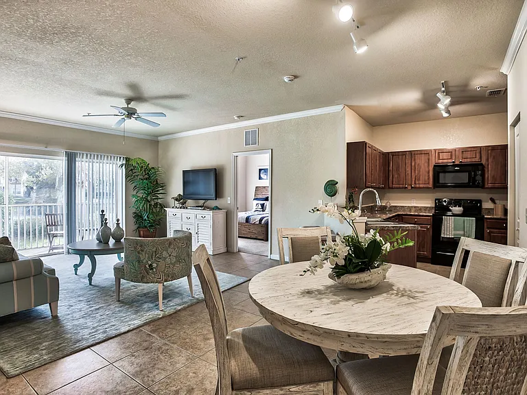 Open concept kitchen and living area